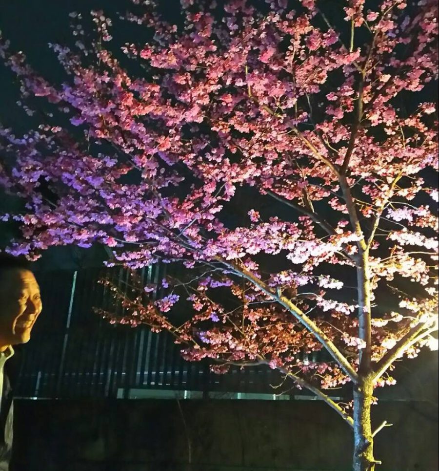 017